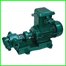 Gear Oil Pump with Oil Transfer Gear Pump